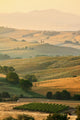 Italian Countryside Tuscany