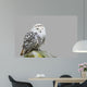 Bubo Scandiacus Wall Mural