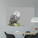 Bubo Scandiacus Wall Mural
