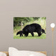 Black Bear Wall Mural