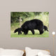 Black Bear Wall Mural