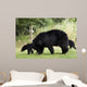Black Bear Wall Mural