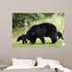 Black Bear Wall Mural