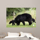 Black Bear Wall Mural