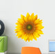 Sunflower isolated, vector. Wall Decal