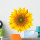 Sunflower isolated, vector. Wall Decal