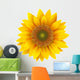 Sunflower isolated, vector. Wall Decal