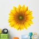 Sunflower isolated, vector. Wall Decal