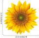 Sunflower isolated, vector. Wall Decal