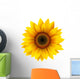 Sunflower isolated, vector. Wall Decal