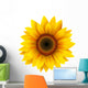 Sunflower isolated, vector. Wall Decal