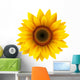 Sunflower isolated, vector. Wall Decal