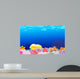 Beautiful Corals