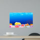 Beautiful Corals