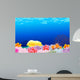 Beautiful Corals