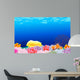 Beautiful Corals