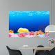 Beautiful Corals