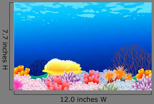 Beautiful Corals
