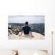 Half Dome Summit Wall Mural