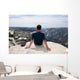 Half Dome Summit Wall Mural