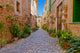Green Alley Valldemossa