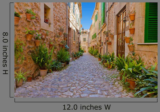 Green Alley Valldemossa