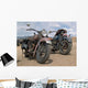 classic american motorcycles Wall Mural