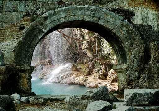 Jungle Gate Wall Decal