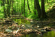 mountain stream Wall Mural