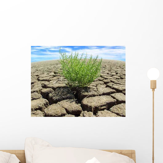 Klimawandel Wall Decal