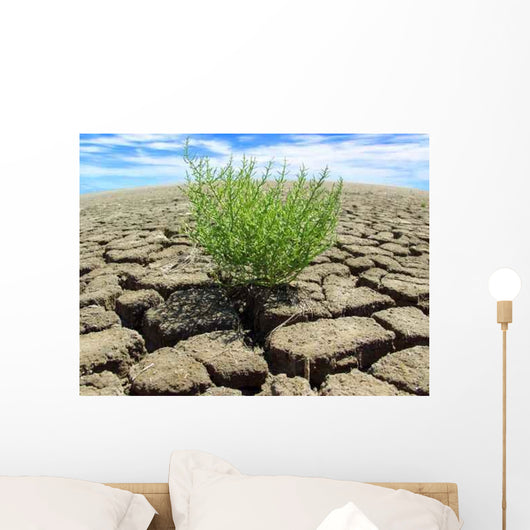 Klimawandel Wall Decal