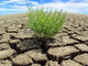 Klimawandel Wall Decal