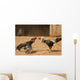 cock fight Wall Mural
