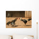 cock fight Wall Mural