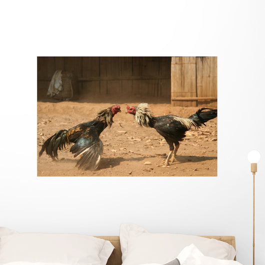 cock fight Wall Mural