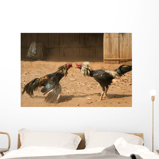 cock fight Wall Mural