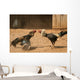 cock fight Wall Mural