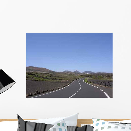 Lz67 Nach Timanfaya Wall Decal