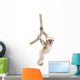 Young Pileated Gibbon Wall Decal