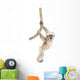 Young Pileated Gibbon Wall Decal