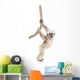 Young Pileated Gibbon Wall Decal