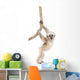 Young Pileated Gibbon Wall Decal