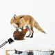 Red Fox Wall Decal