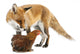 Red Fox Wall Decal