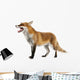 Red Fox Wall Decal
