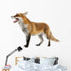 Red Fox Wall Decal