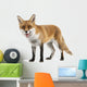 Red Fox Wall Decal