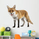 Red Fox Wall Decal