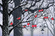 Bullfinches on trees in winter city Wall Mural