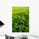 Agricultural Field Green Wall Decal